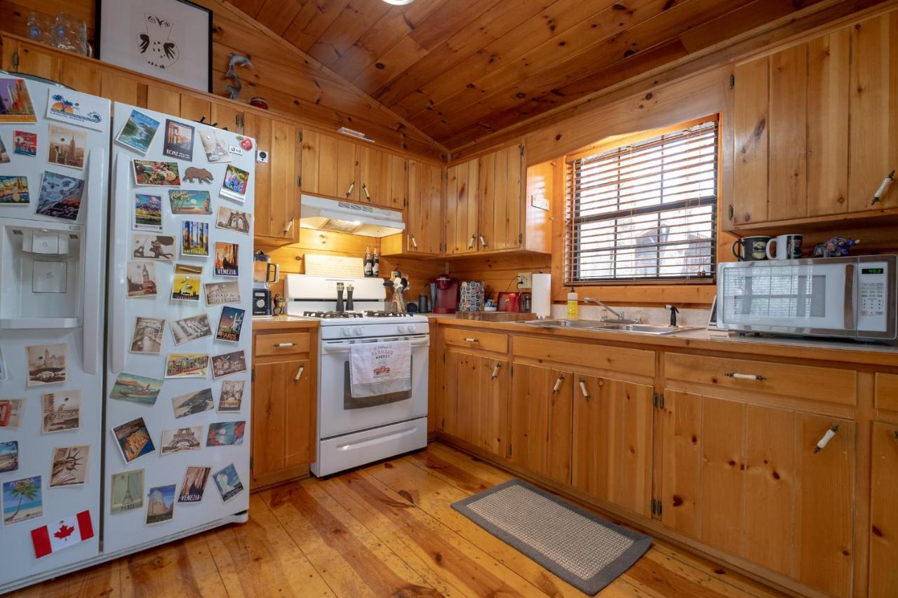 Three Dog Night - Pet-Friendly Cabin With Hot Tub Villa Blue Ridge Exterior photo