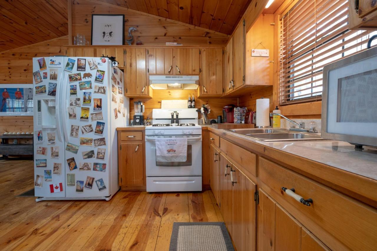 Three Dog Night - Pet-Friendly Cabin With Hot Tub Villa Blue Ridge Exterior photo