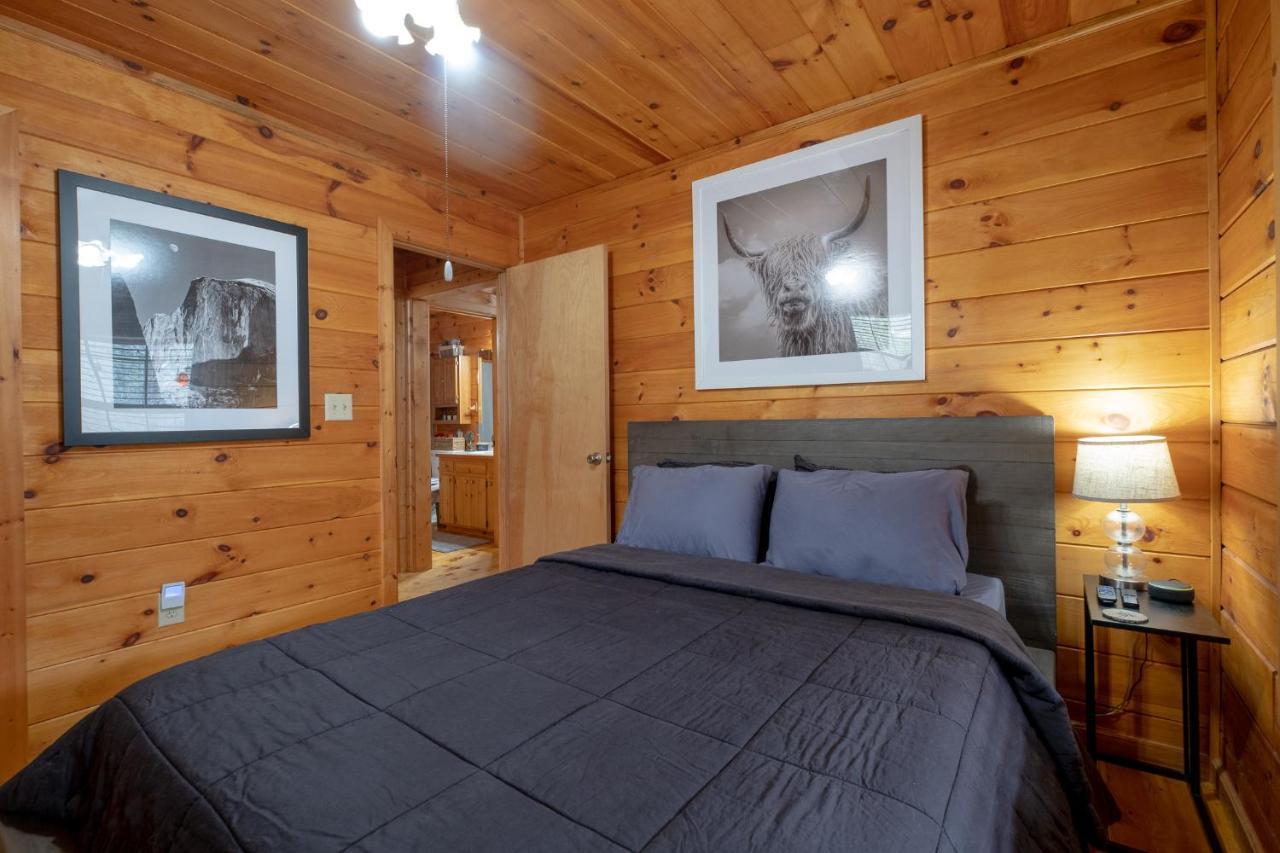 Three Dog Night - Pet-Friendly Cabin With Hot Tub Villa Blue Ridge Exterior photo