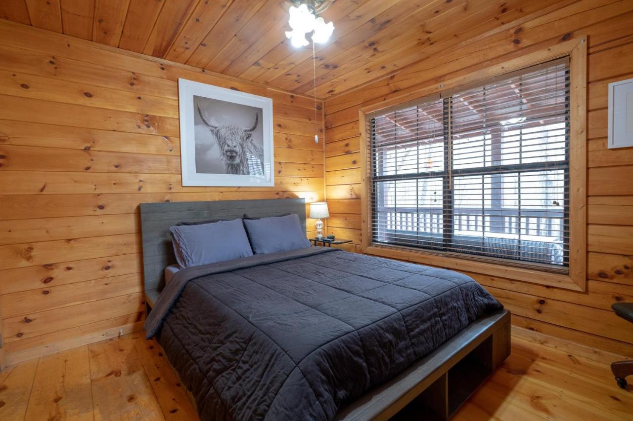 Three Dog Night - Pet-Friendly Cabin With Hot Tub Villa Blue Ridge Exterior photo