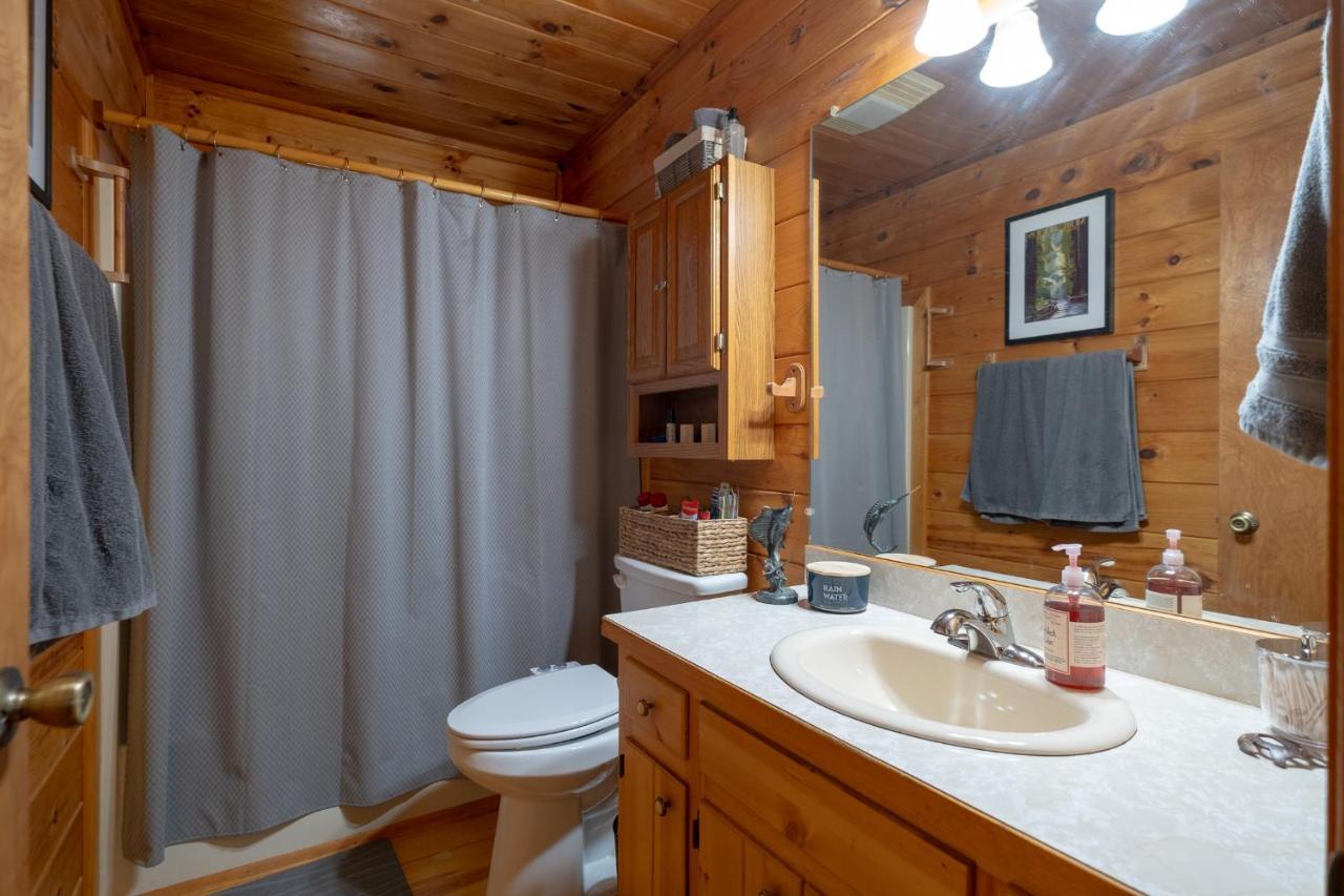 Three Dog Night - Pet-Friendly Cabin With Hot Tub Villa Blue Ridge Exterior photo