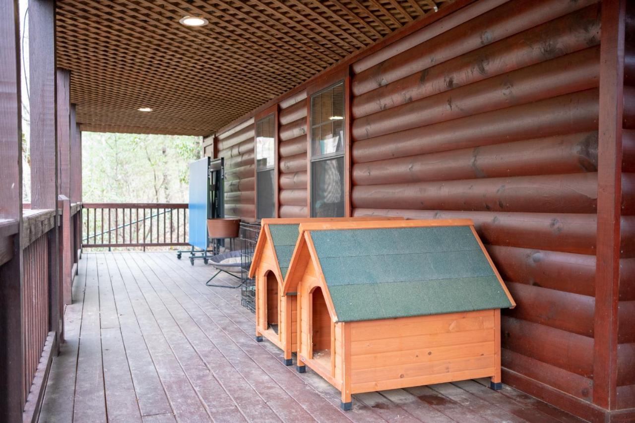 Three Dog Night - Pet-Friendly Cabin With Hot Tub Villa Blue Ridge Exterior photo