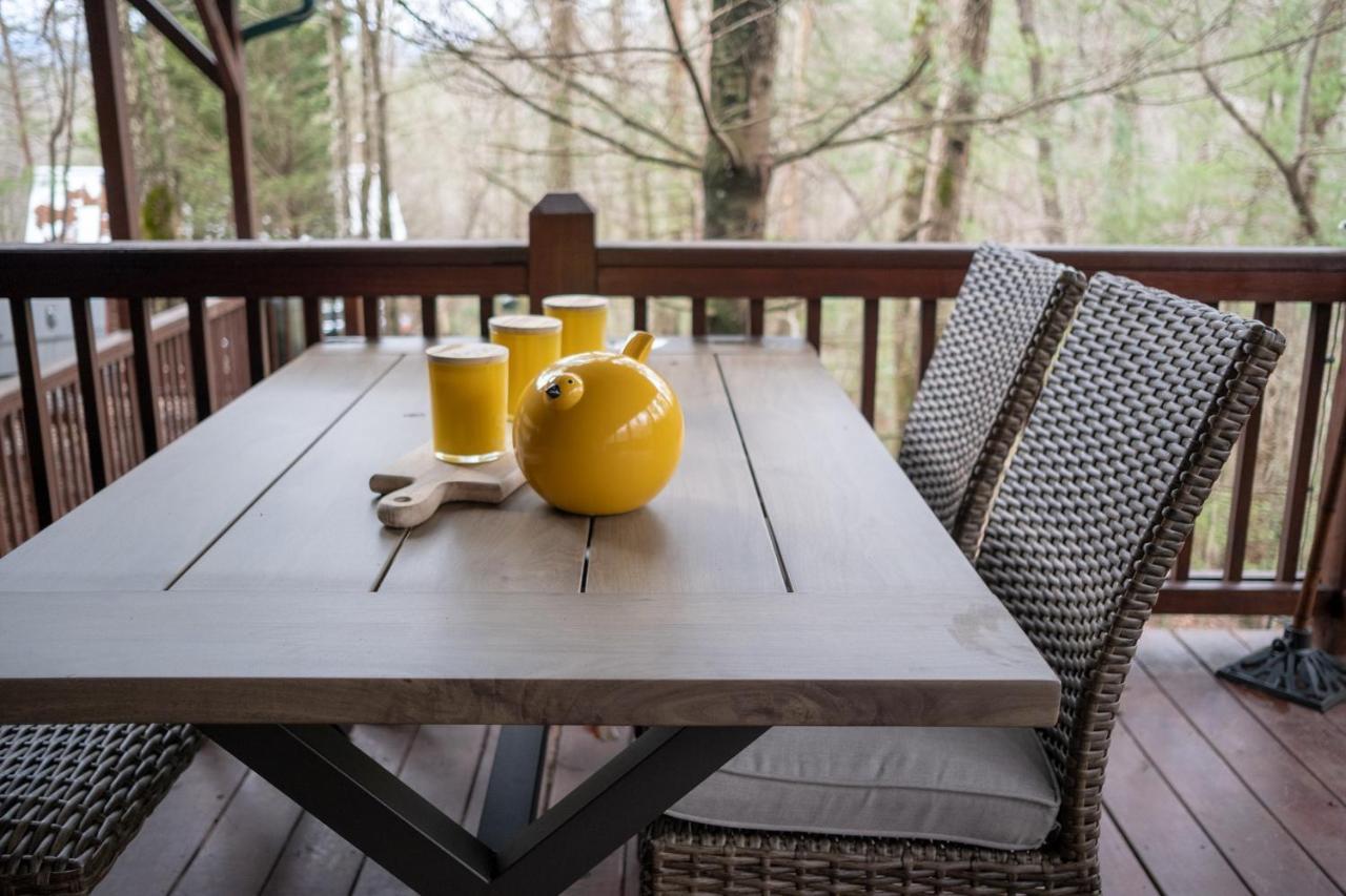 Three Dog Night - Pet-Friendly Cabin With Hot Tub Villa Blue Ridge Exterior photo